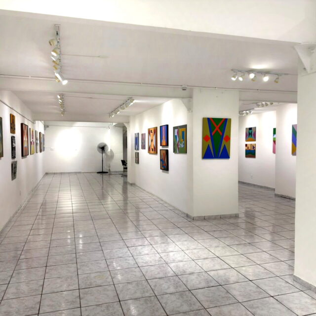 expoisção Jandyra Waters - 2026 - Errol Flynn Galeria de Arte - 001